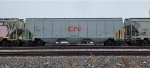 CN 113514